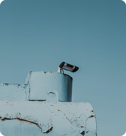 Vigilant Monitoring Service